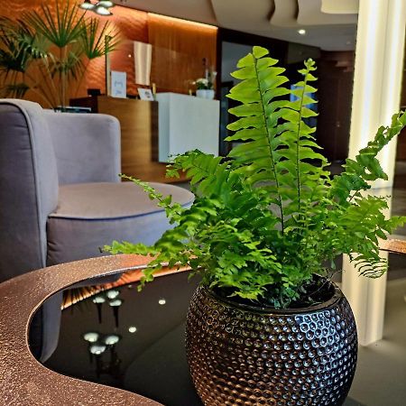 巴组尼酒店&Spa Kościerzyna 外观 照片