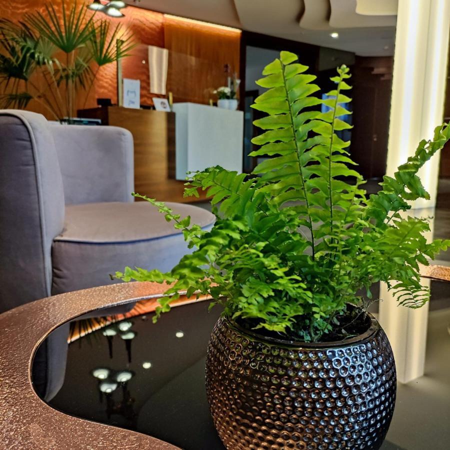 巴组尼酒店&Spa Kościerzyna 外观 照片